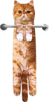 Cat Funny Hand Towels for Bathroom Kitchen
